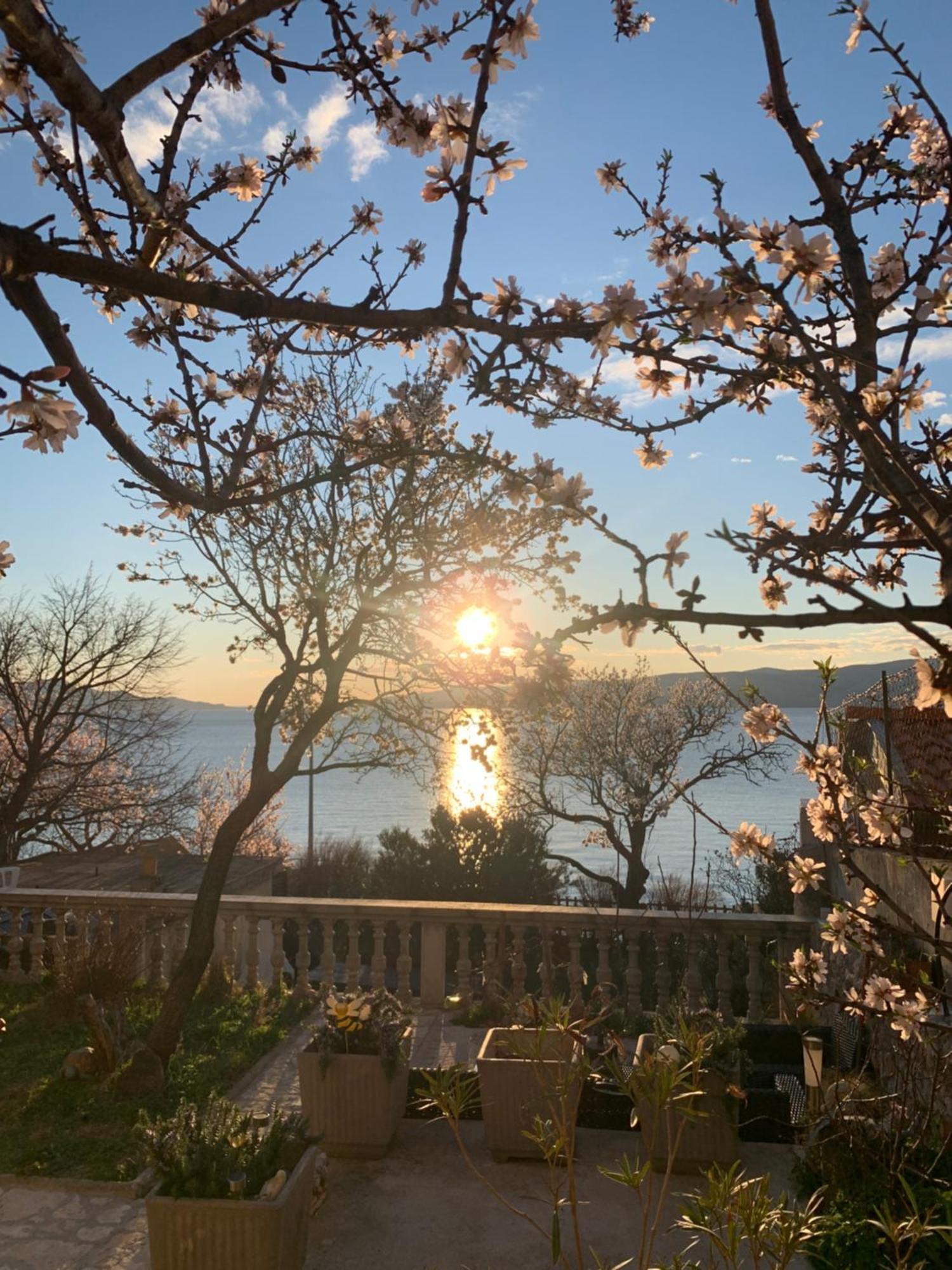 Apartment Marino Senj  Bagian luar foto