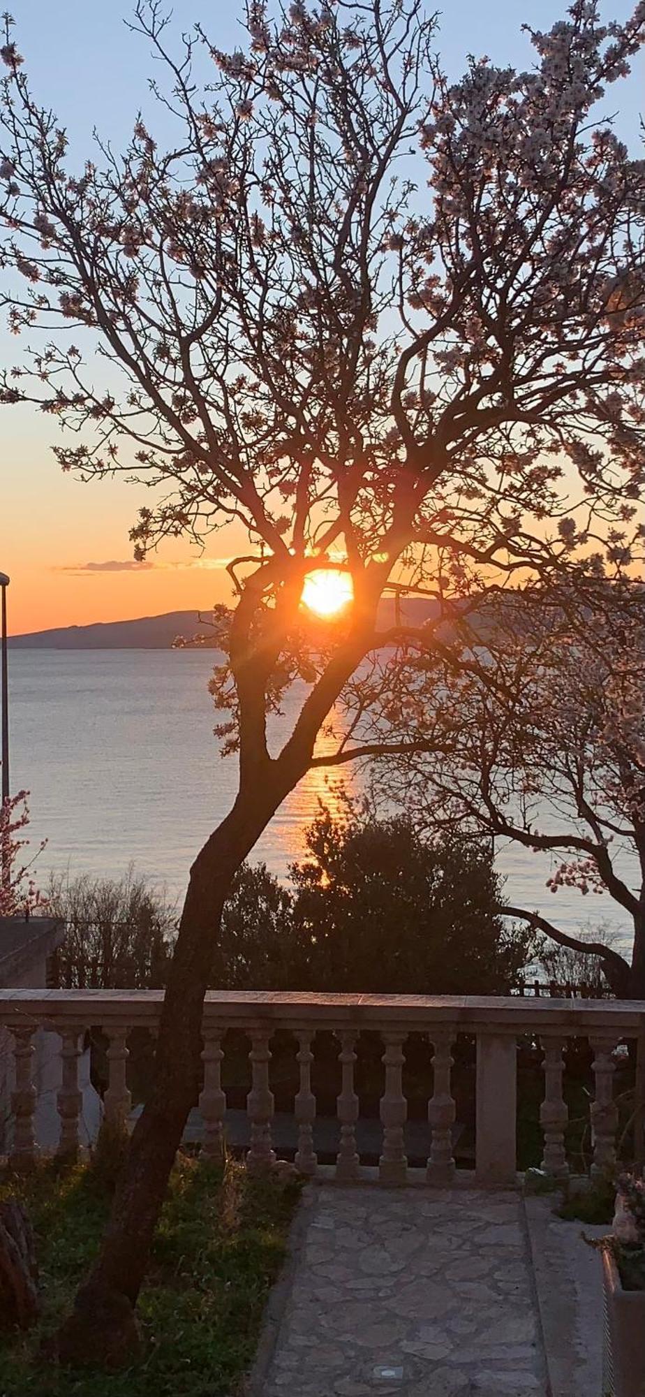 Apartment Marino Senj  Bagian luar foto
